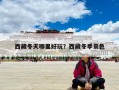 西藏冬天哪里好玩？西藏冬季景色