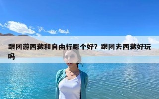 跟團(tuán)游西藏和自由行哪個(gè)好？跟團(tuán)去西藏好玩嗎