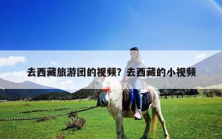 去西藏旅游團的視頻？去西藏的小視頻