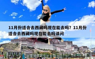 11月份適合去西藏嗎現在能去嗎？11月份適合去西藏嗎現在能去嗎請問