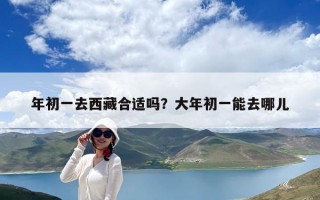 年初一去西藏合適嗎？大年初一能去哪兒
