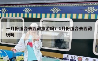 一月份適合去西藏旅游嗎？1月份適合去西藏玩嗎