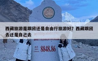 西藏旅游是跟團還是自由行旅游好？西藏跟團去還是自己去