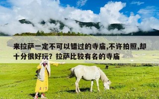 來(lái)拉薩一定不可以錯(cuò)過(guò)的寺廟,不許拍照,卻十分很好玩？拉薩比較有名的寺廟