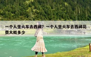 一個(gè)人坐火車去西藏？一個(gè)人坐火車去西藏花費(fèi)大概多少