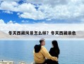 冬天西藏風(fēng)景怎么樣？冬天西藏景色