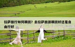 拉薩旅行如何跟團？去拉薩旅游跟團好還是自由行好