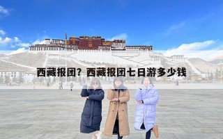 西藏報團？西藏報團七日游多少錢
