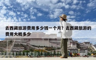 去西藏旅游費(fèi)用多少錢(qián)一個(gè)月？去西藏旅游的費(fèi)用大概多少