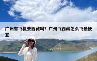 廣州有飛機去西藏嗎？廣州飛西藏怎么飛最便宜