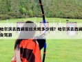 哈爾濱去西藏報團大概多少錢？哈爾濱去西藏自駕游