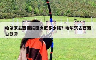 哈爾濱去西藏報(bào)團(tuán)大概多少錢？哈爾濱去西藏自駕游