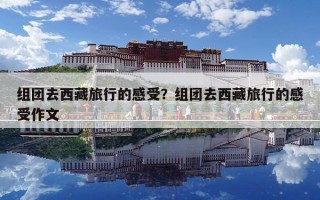 組團去西藏旅行的感受？組團去西藏旅行的感受作文