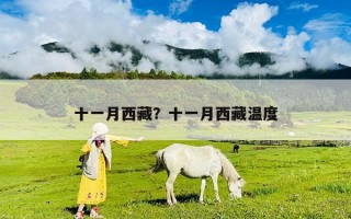 十一月西藏？十一月西藏溫度