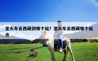坐火車去西藏到哪個站？坐火車去西藏哪個站點