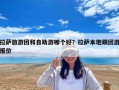 拉薩旅游團和自助游哪個好？拉薩本地跟團游報價