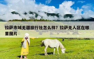 拉薩市域無疆旅行社怎么樣？拉薩無人區(qū)在哪里圖片