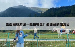 去西藏旅游團一般住哪里？去西藏的旅游團