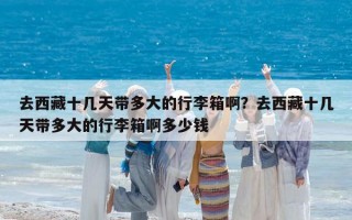 去西藏十幾天帶多大的行李箱啊？去西藏十幾天帶多大的行李箱啊多少錢