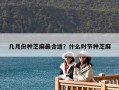 幾月份種芝麻最合適？什么時節種芝麻