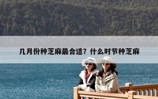 幾月份種芝麻最合適？什么時節種芝麻