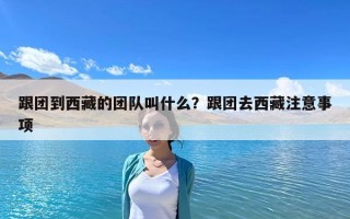 跟團到西藏的團隊叫什么？跟團去西藏注意事項