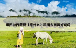 跟團游西藏要注意什么？跟團去西藏好玩嗎