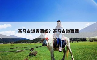 茶馬古道青藏線？茶馬古道西藏