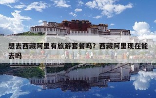 想去西藏阿里有旅游套餐嗎？西藏阿里現在能去嗎