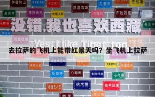 去拉薩的飛機上能帶紅景天嗎？坐飛機上拉薩