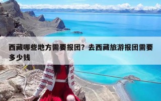 西藏哪些地方需要報(bào)團(tuán)？去西藏旅游報(bào)團(tuán)需要多少錢