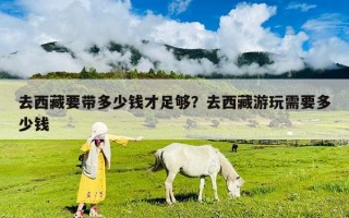 去西藏要帶多少錢才足夠？去西藏游玩需要多少錢