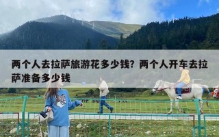 兩個人去拉薩旅游花多少錢？兩個人開車去拉薩準備多少錢