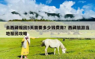 去西藏報團(tuán)5天需要多少錢費用？西藏旅游當(dāng)?shù)貓髨F(tuán)攻略