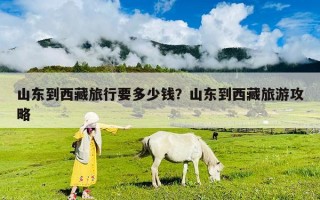 山東到西藏旅行要多少錢？山東到西藏旅游攻略