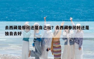 去西藏是報(bào)團(tuán)還是自己玩？去西藏參團(tuán)好還是獨(dú)自去好