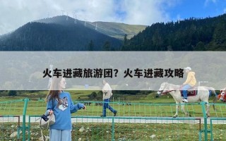 火車(chē)進(jìn)藏旅游團(tuán)？火車(chē)進(jìn)藏攻略
