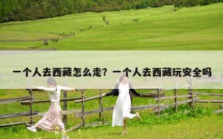 一個人去西藏怎么走？一個人去西藏玩安全嗎