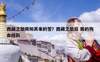 西藏之旅突如其來的雪？西藏之旅后 我的狗血經歷