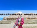 西藏旅游費(fèi)用清單查詢系統(tǒng)？西藏旅游價(jià)格表