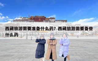 西藏旅游需要準(zhǔn)備什么藥？西藏旅游需要備些什么藥