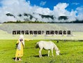 西藏寺廟有哪些？西藏寺廟名錄