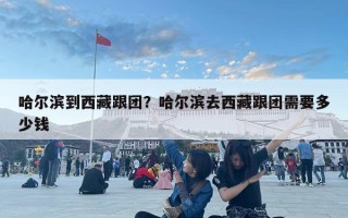 哈爾濱到西藏跟團(tuán)？哈爾濱去西藏跟團(tuán)需要多少錢(qián)