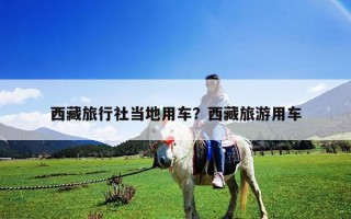 西藏旅行社當地用車？西藏旅游用車