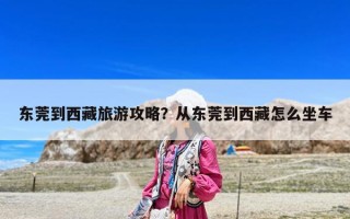 東莞到西藏旅游攻略？從東莞到西藏怎么坐車