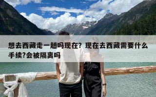 想去西藏走一趟嗎現(xiàn)在？現(xiàn)在去西藏需要什么手續(xù)?會(huì)被隔離嗎