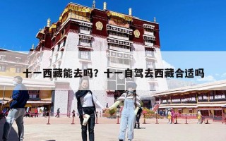 十一西藏能去嗎？十一自駕去西藏合適嗎