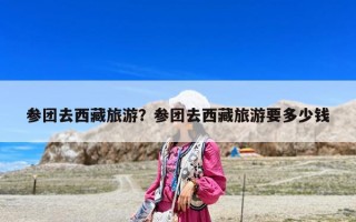 參團去西藏旅游？參團去西藏旅游要多少錢
