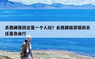 去西藏報團還是一個人玩？去西藏旅游報團去還是自由行