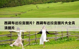 西藏布達(dá)拉宮圖片？西藏布達(dá)拉宮圖片大全高清圖片